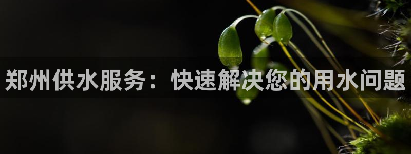 球友会兑换码