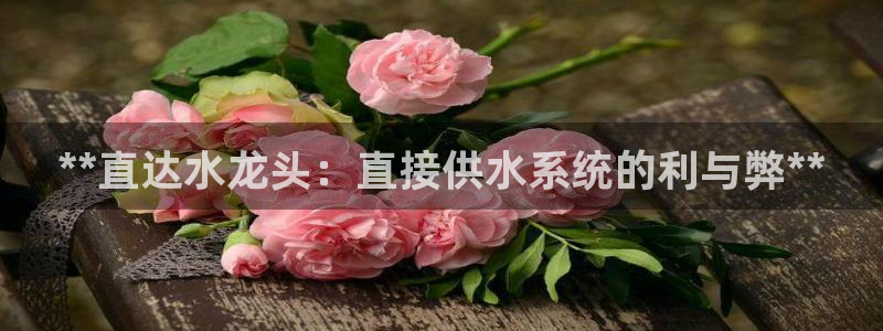 QY球友会体育官方平台