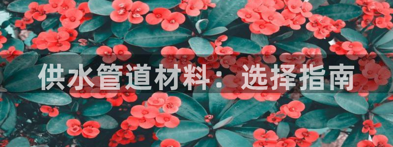 球友会APP