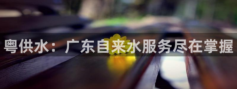 球友会官网登录入口在哪