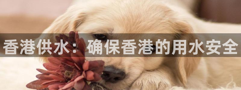 球友会体育app官方版下载安装最新