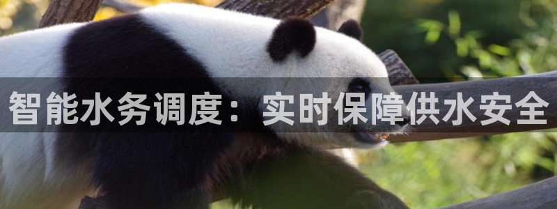 球友会体育app官方版下载安装手机