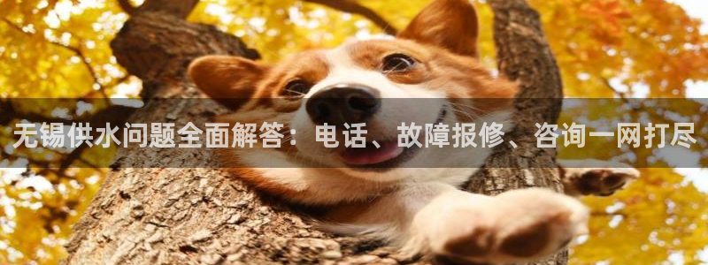 QY球友会官网