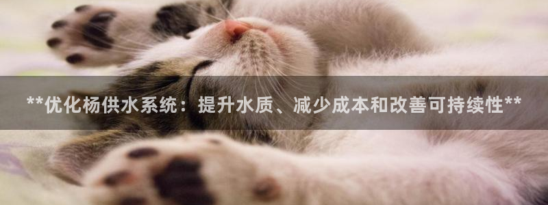 球友会qyh88bet