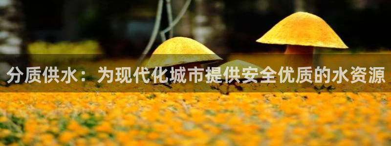 球友会app网址