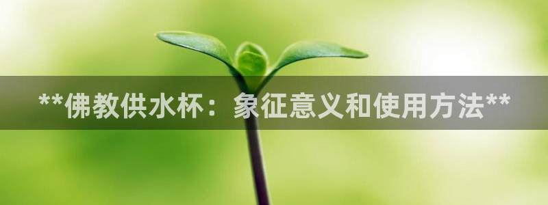 球友会官方网站入口
