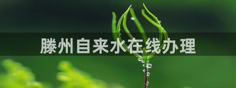 球友会比赛结果查询