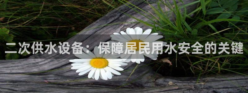 球友会提款审核中