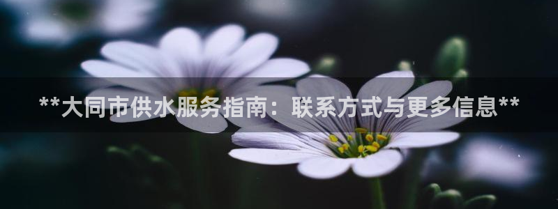 球友会联赛