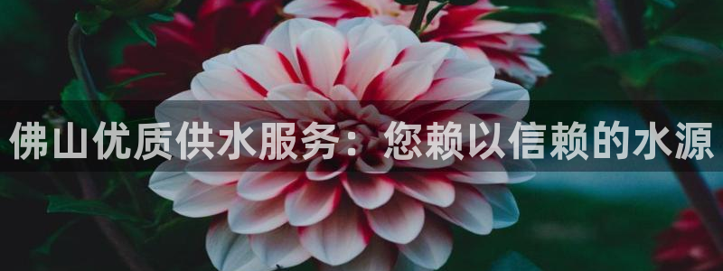 球友会联赛