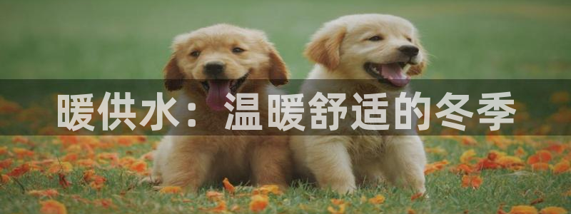 球友会台球俱乐部官网