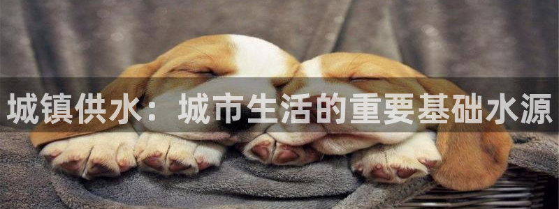 球友会logo