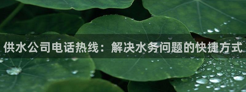 球友会app介绍