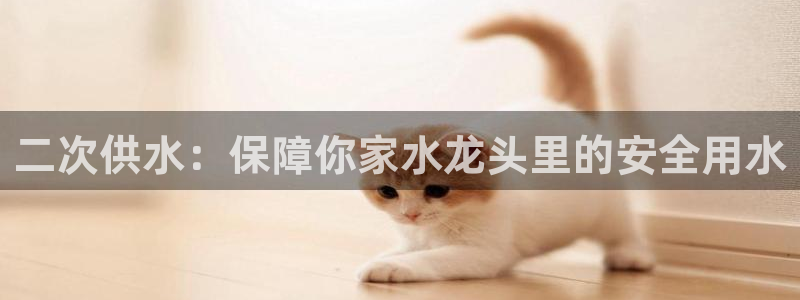 球友会apy