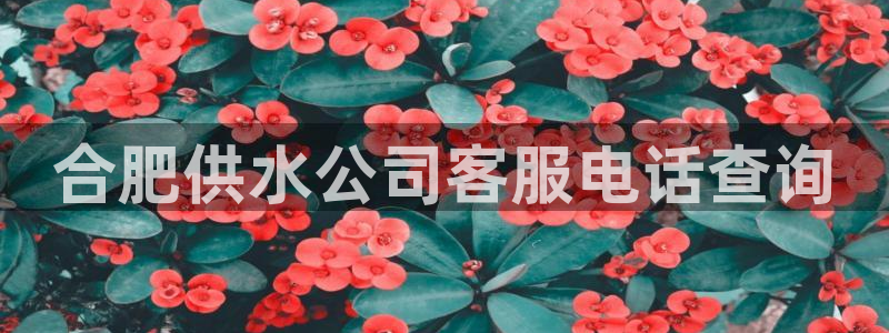 球友会qyh88bet