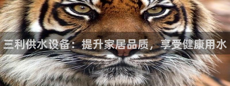 球友会比赛结果查询