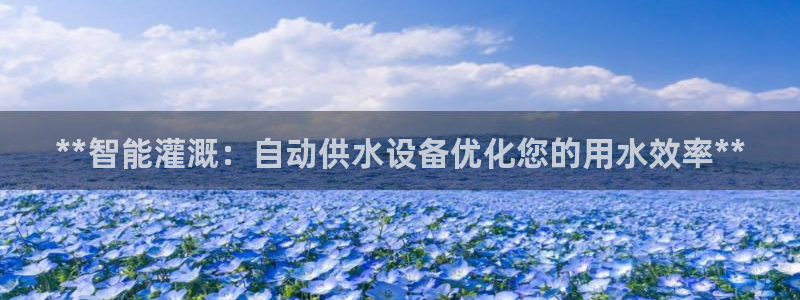 球友会登录网站