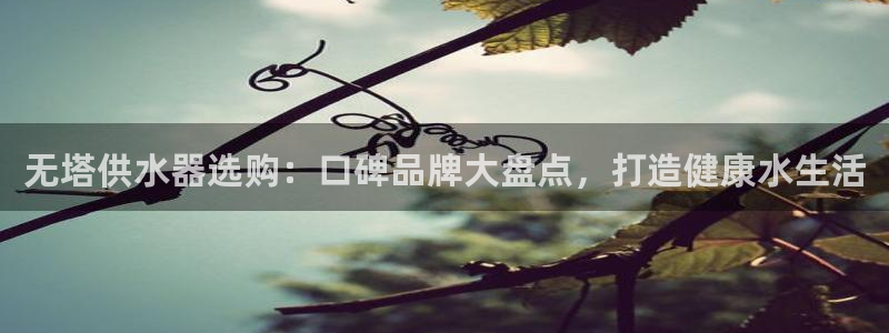 qy球友会体育官下载