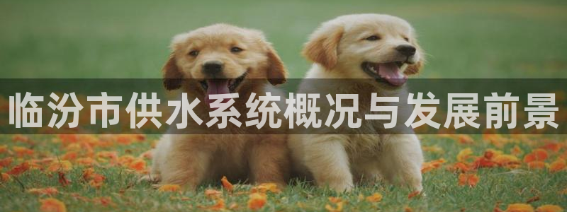 球友会体育app下载官网苹果