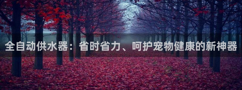 球友会聚餐发言稿简短