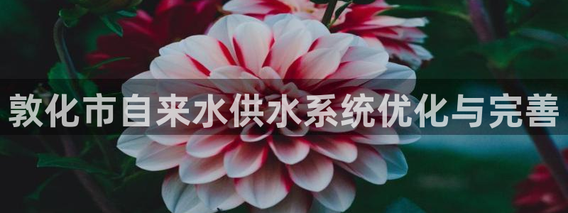 qy球友会体育官网下载