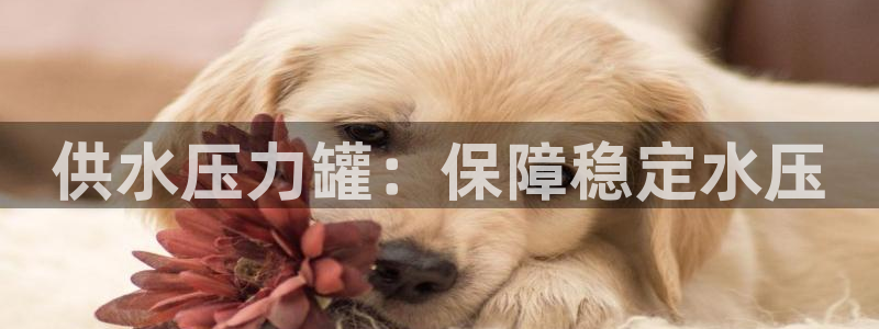 球友会首页