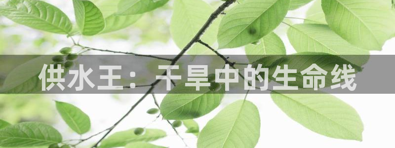 球友会比赛结果查询系统