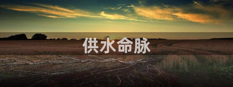 球友会比赛结果查询