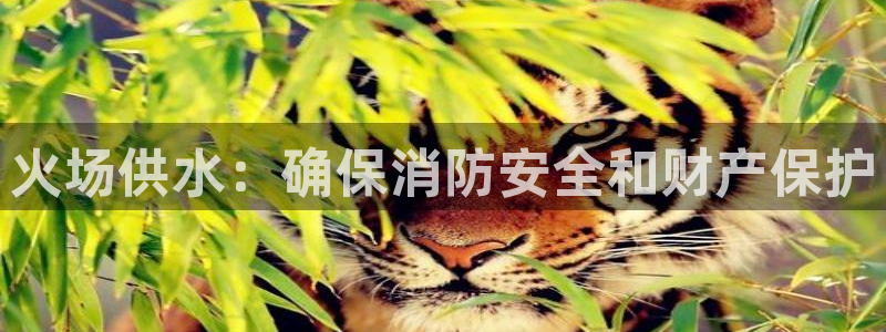 球友会是不是大平台