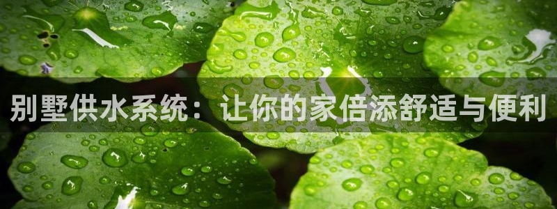 球友会审核
