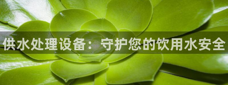 球友会友谊赛赛程
