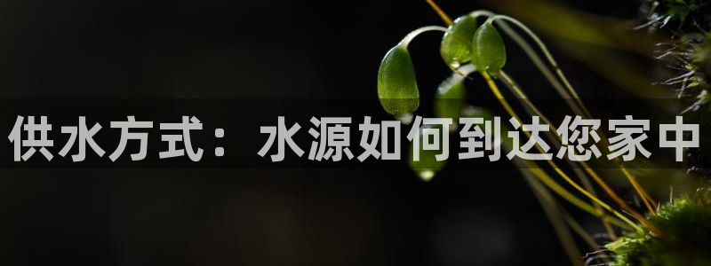 球友会app官网下载苹果