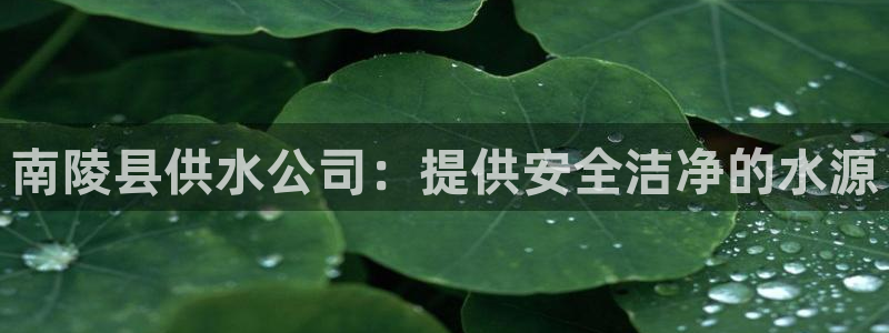 球友会官网