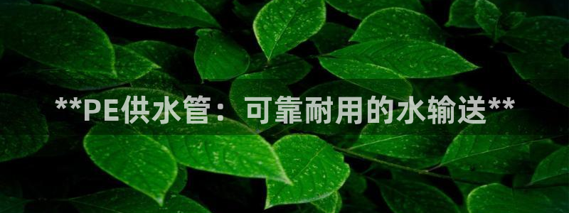 球友会体育app官方版下载安装最新