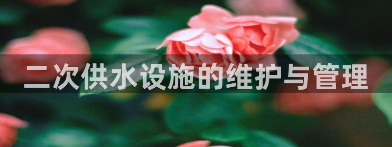 球友会提款审核中