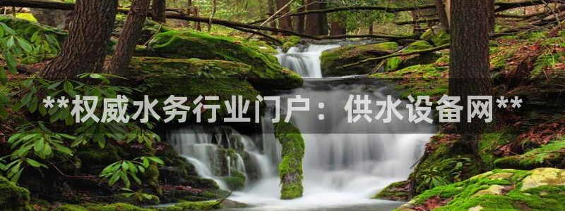 QY球友会体育官网
