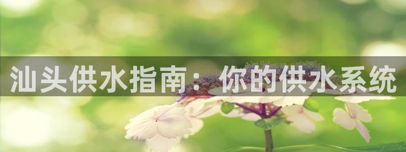 球友会官方网站入口