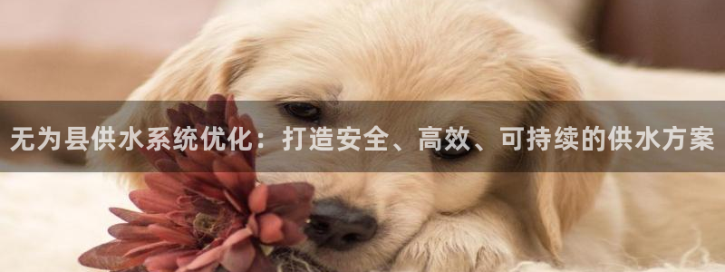 球友会体育app官方版下载安装苹果