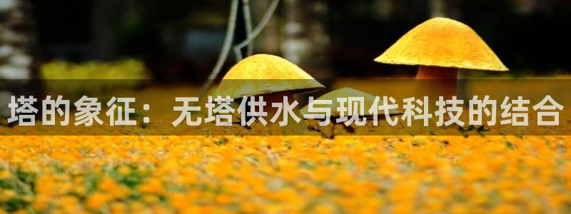 球友会台球俱乐部