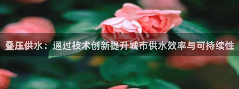 关键词