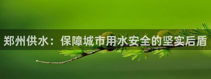 球友会官网登录入口在哪