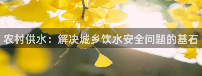 球友会能提现吗
