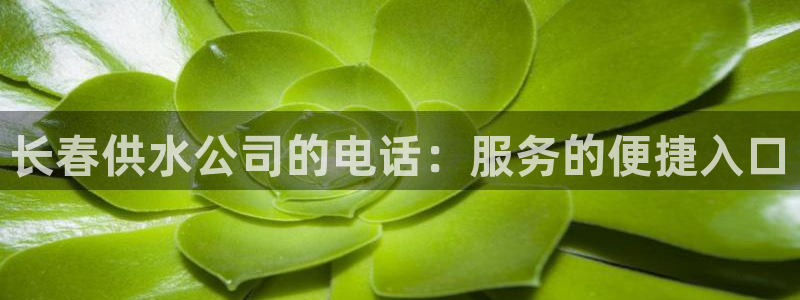 球友会的会字是哪个会