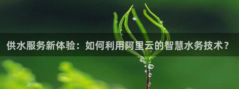 QY球友会官网