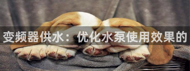 球友会app安全吗可靠吗知乎