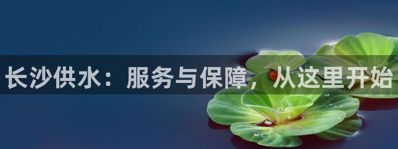 QY球友会官网
