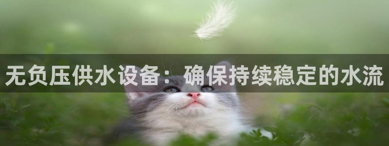 球友会app官方网站下载