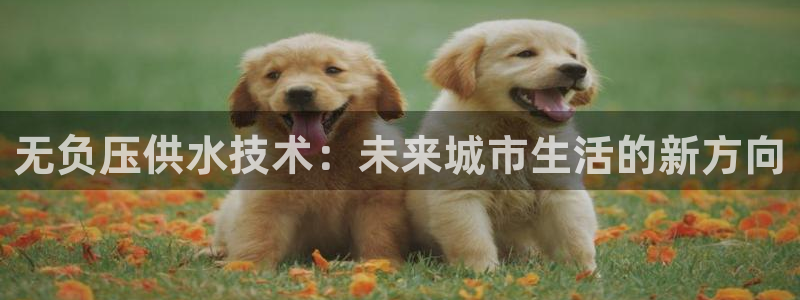 球友会开户礼金在哪领