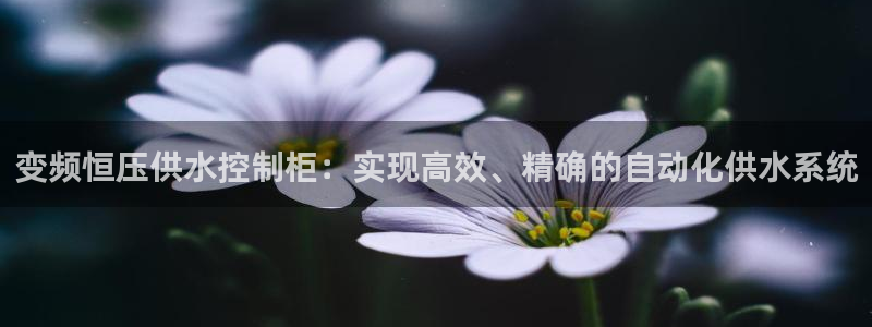 qy球友会体育(中国)官方网站