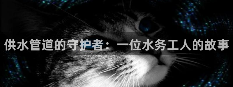 球友会台球俱乐部官网